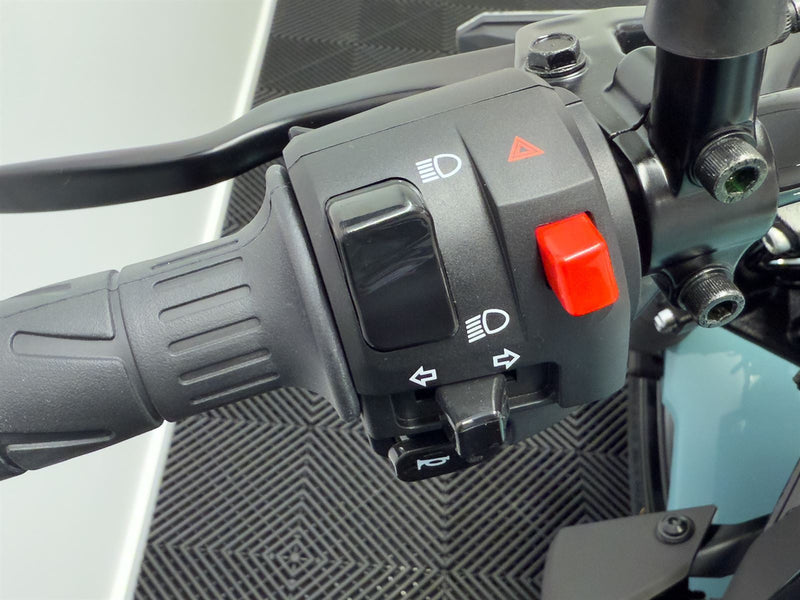 Load image into Gallery viewer, 2026 Kawasaki Eliminator 500 SE LAMS