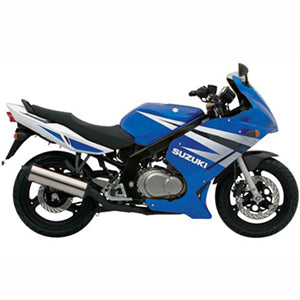 SUZUKI GS500F 2004