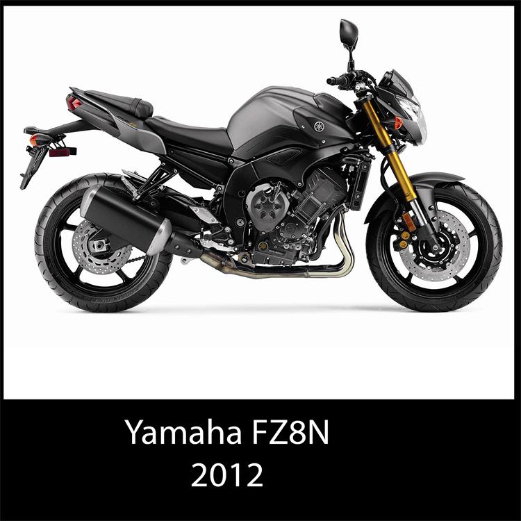 2012 Yamaha FZ8N