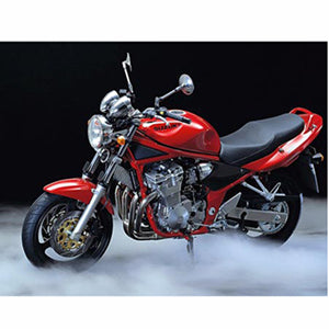 SUZUKI GSF600 2002