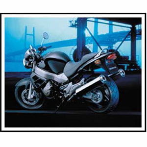 Honda X11 (X-Eleven) - 2003