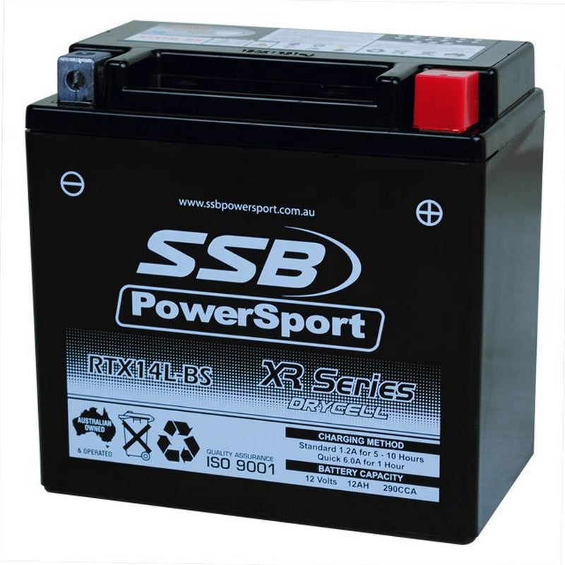 Load image into Gallery viewer, MOTORCYCLE AND POWERSPORTS BATTERY (RTX14L-BS) AGM 12V 12AH 290CCA BY SSB HIGH PERFORMANCE
