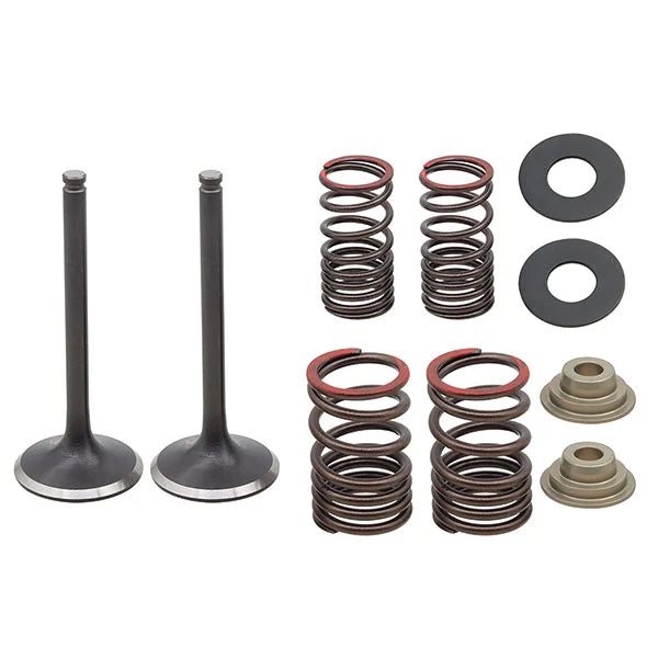 Load image into Gallery viewer, EXHAUST VALVE KIT PSYCHIC MX INCLUDES 2 VALVES, 2 SPRINGS, RETAINERS &amp; SEATS
