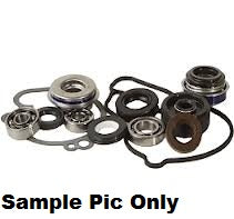 HOT RODS WATER PUMP KIT HONDA TRX420 TRX420FA TRX420FE TRX500 TRX500FE TRX500FM TRX520