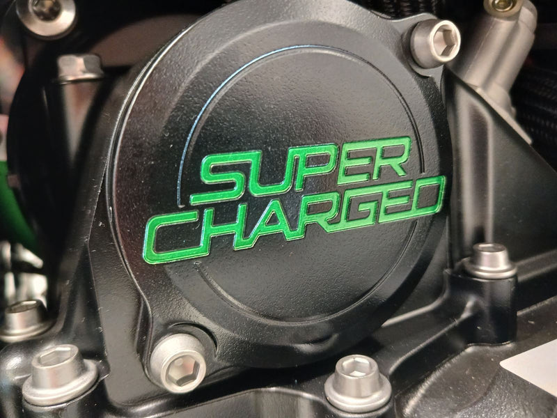 Load image into Gallery viewer, 2025 Kawasaki Ninja H2 SX
