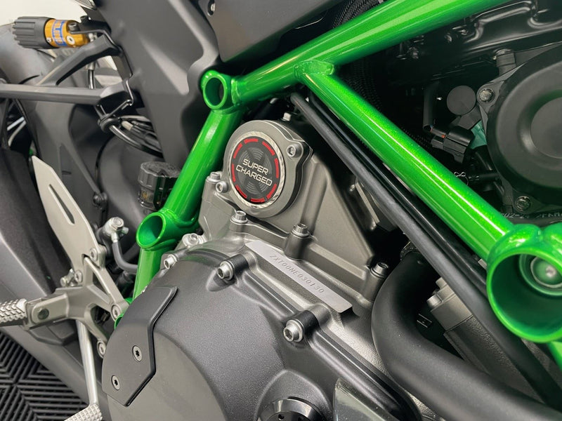 Load image into Gallery viewer, 2025 Kawasaki Ninja H2
