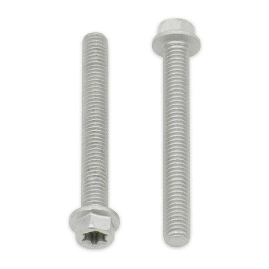 Bolt Euro Torx 6x40mm Flange Bolt (Packet of 10) Refill