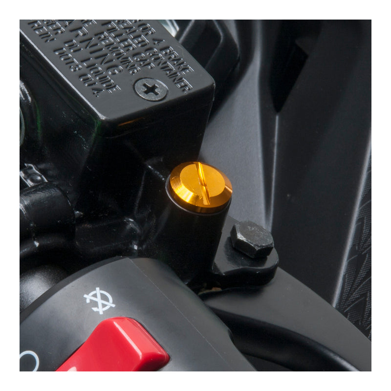 Load image into Gallery viewer, DRC Mirror Hole Plug M10 - Gold
