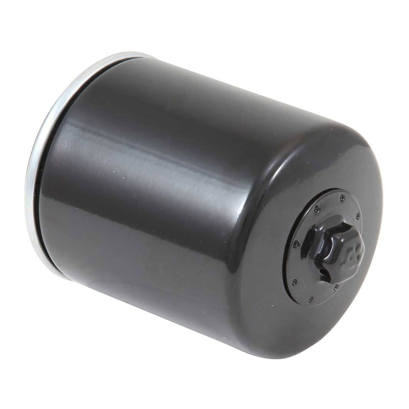 Load image into Gallery viewer, K&amp;N Oil Filter (HF171)
