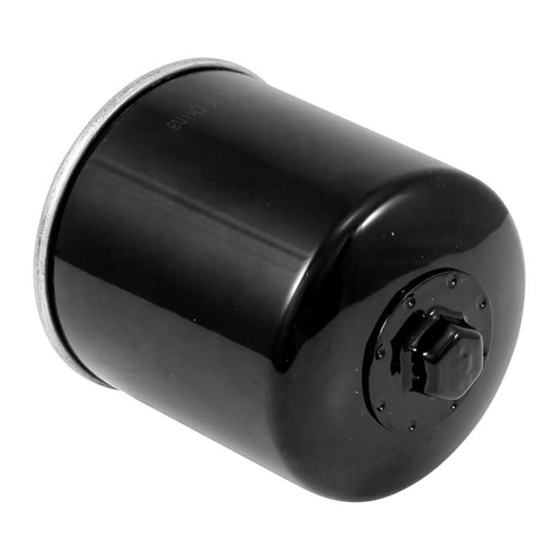 Load image into Gallery viewer, K&amp;N Oil Filter (HF174)
