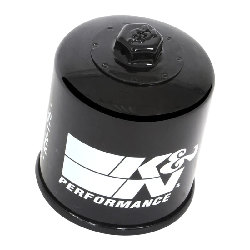 Load image into Gallery viewer, K&amp;N Oil Filter (HF175)
