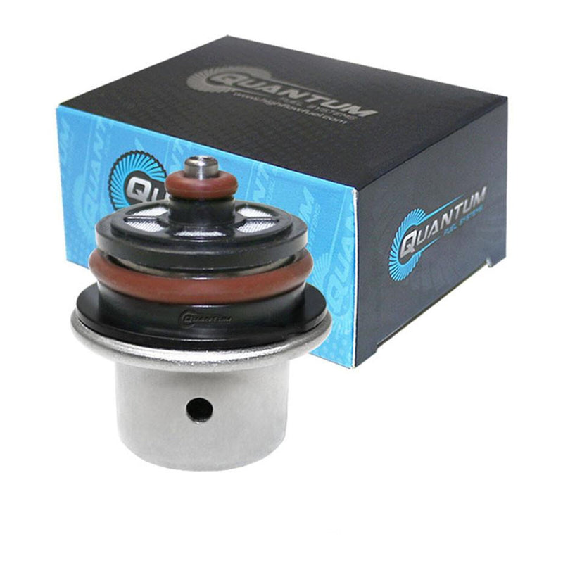 Load image into Gallery viewer, Quantum In-tank EFI Fuel Pump with Regulator, Tank Seal
