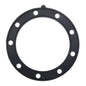 Quantum Fuel Pump Seal Gasket