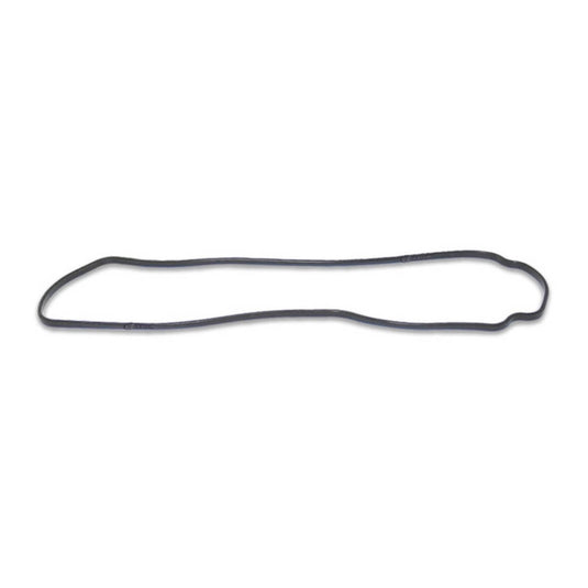 Quantum Fuel Pump Seal Gasket