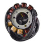 Stator Kawasaki Jet Ski 900/1100 STX/ZXi '95-'03 (RM01525)