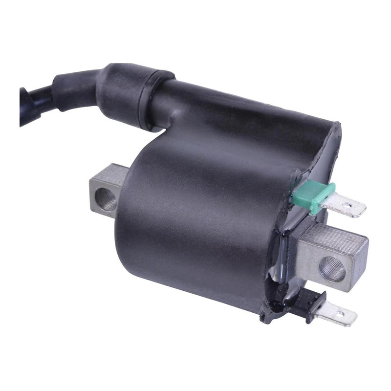 Load image into Gallery viewer, External Ignition Coil Assorted Honda Models
