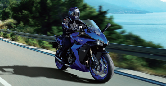 2025 Suzuki GSX-S 1000 TRQ