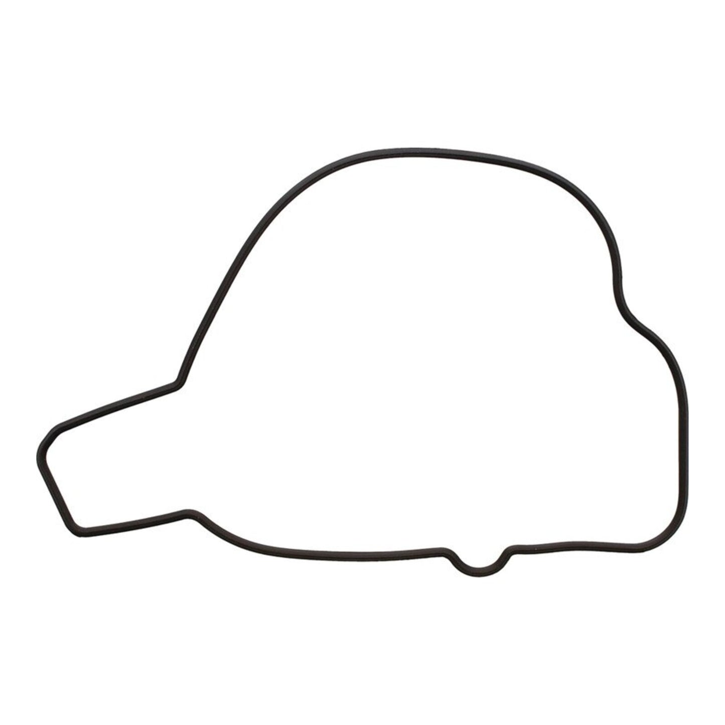 Ignition Cover Gasket Kit 819210