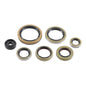 Oil Seal Kit 822976