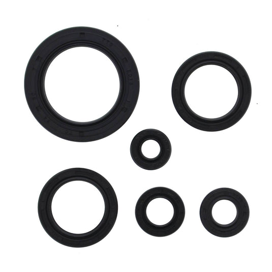Oil Seal Kit 822978
