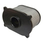 Whites Air Filter Suzuki SV650 '99-'02, CAG 650 Raptor '00-'05