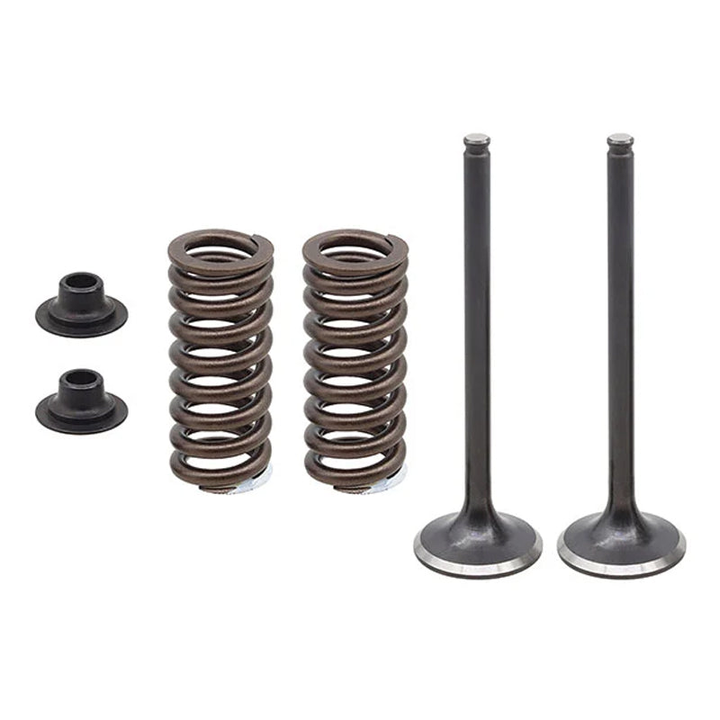 Load image into Gallery viewer, EXHAUST VALVE KIT PSYCHIC MX INCLUDES 2 VALVES, 2 SPRINGS, RETAINERS &amp; SEATS
