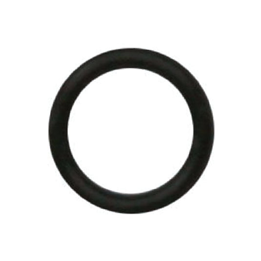 IWATA O RING FOR W101 / W200 / W300 / W400
