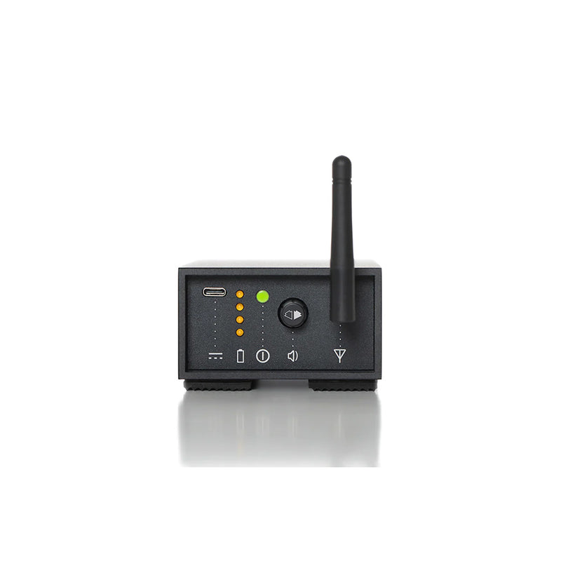 Load image into Gallery viewer, SKAA PRO RECEIVER STREETHEART PRO AUDIO BAL 6.3MM CONNECTOR
