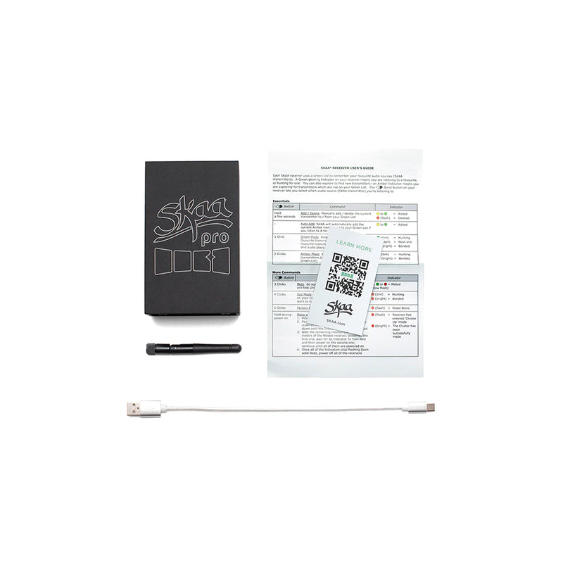 Load image into Gallery viewer, SKAA PRO RECEIVER STREETHEART PRO AUDIO BAL 6.3MM CONNECTOR
