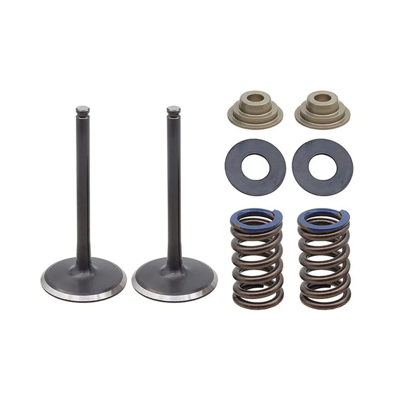 Load image into Gallery viewer, INLET VALVE KIT PSYCHIC MX INCLUDES 2 VALVES, 2 SPRINGS, RETAINERS &amp; SEATS
