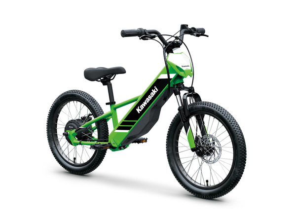 Load image into Gallery viewer, 2025 Kawasaki Elektrode 20
