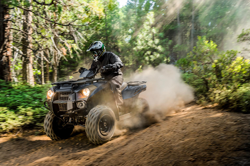 Load image into Gallery viewer, 2025 Kawasaki Brute Force KVF300
