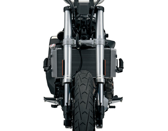 2024 Suzuki V-Strom 800 RQ