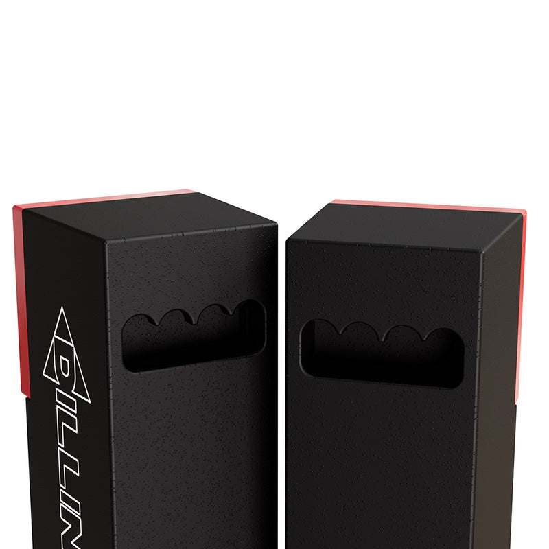 Load image into Gallery viewer, DILLINGER LABS DFA DEATH FROM ABOVE SKAA PRO BATTERY POWERED DUAL 5.5" SPEAKER
