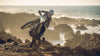 A motocross rider in black gear and a helmet balances a Triumph TF 250 E dirt bike on rocky coastal terrain with the ocean in the background.