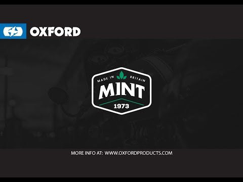 Load and play video in Gallery viewer, Oxford Mint - Visor Mate (50ml)
