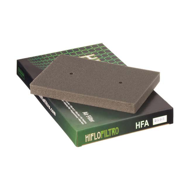 Load image into Gallery viewer, Hiflo  HFA2505 Air Filter

