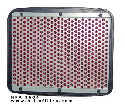 Load image into Gallery viewer, HIFLO HFA1604 Air Filter
