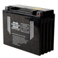 USPS AGM BATTERY US24HL-BS    YTX24HL-BS  *2 %